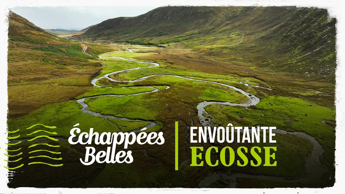 France TV Pro (@francetvpro) on Twitter photo #Audiences #France5
Très belle performance pour « Échappées belles en Écosse » <a href="/IsmaelKhelifa/">Ismaël Khelifa</a>
📍1 228 000 TVSP
📍7% de PDA
↪️ France.tv #Audiences #France5
Très belle performance pour « Échappées belles en Écosse » <a href="/IsmaelKhelifa/">Ismaël Khelifa</a>
📍1 228 000 TVSP
📍7% de PDA
↪️ France.tv