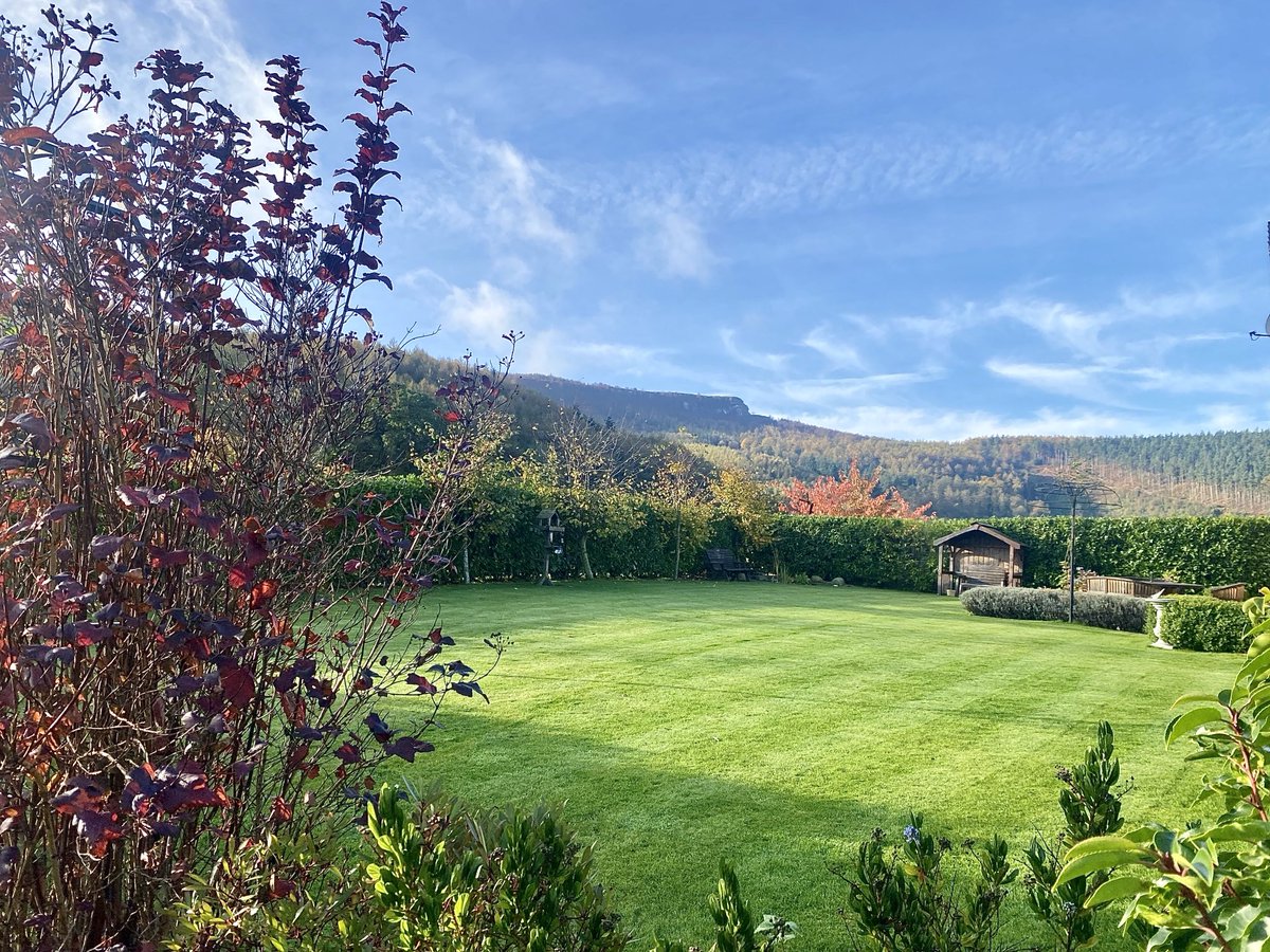 Wishing you a super Sunday from my garden in North Yorkshire 😊