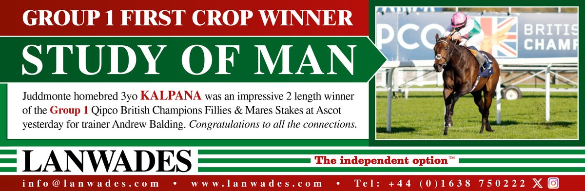 bloodstocknews's tweet photo. 🌟 Group 1 First Crop Winner for STUDY OF MAN of @Lanwades 🌟

🏆 Juddmonte homebred 3yo KALPANA was an impressive winner of the Gr.1 Qipco British Champions Fillies &amp; Mares Stakes at Ascot for trainer @AndrewBalding2 

👏 Congratulations to all the connections! https://t.co/rYH5vb2H52