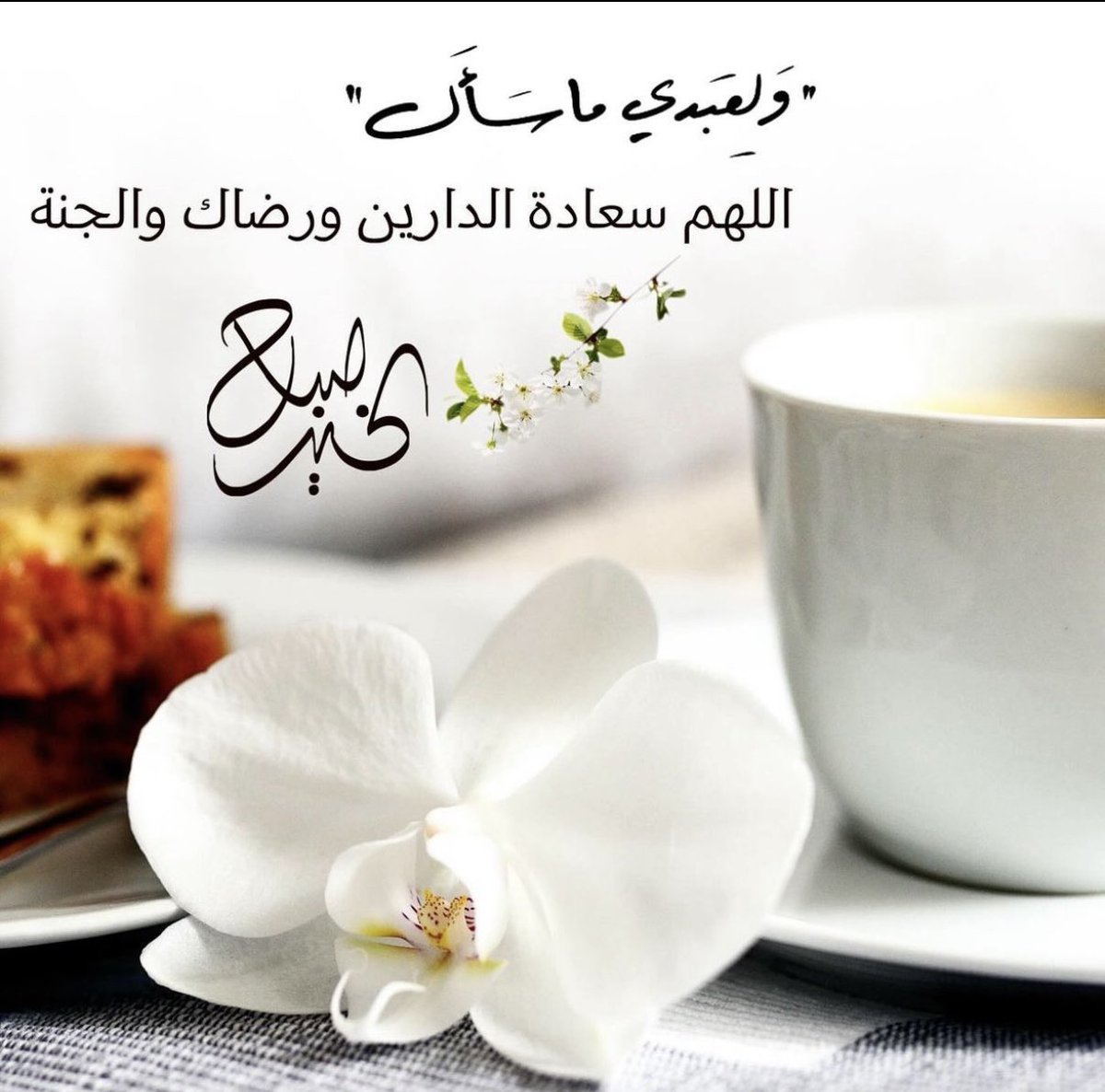 wateen513's tweet photo. وَلِعَبْدِي مَا سَأَلَ
اللهم سعاده الدارين ورضاك والجنه
#صباح_الخير 
#صباح_الاشياء_المُشرقه https://t.co/ka5pTZAqmO