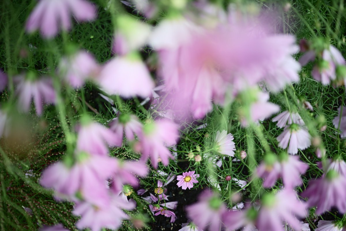 PhotoOrdinary's tweet photo. #photography https://t.co/3lQ3FyHiQX