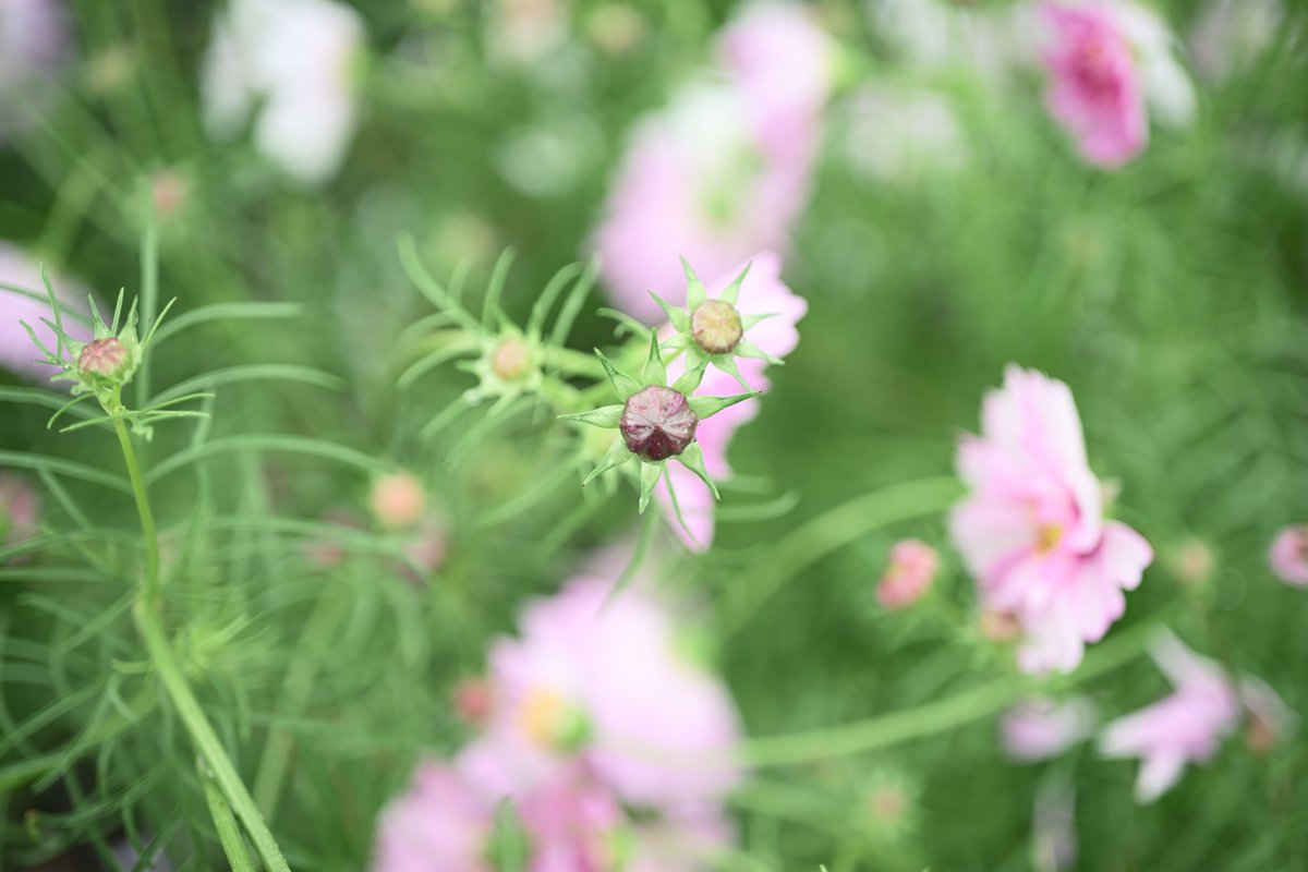 PhotoOrdinary's tweet photo. #photography https://t.co/3lQ3FyHiQX