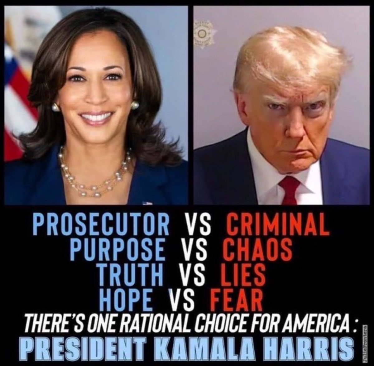 kangaroos991's tweet photo. I'm with her! ⤵️ #KamalaHarris2024 🙏💙 https://t.co/ynbP18DDUD