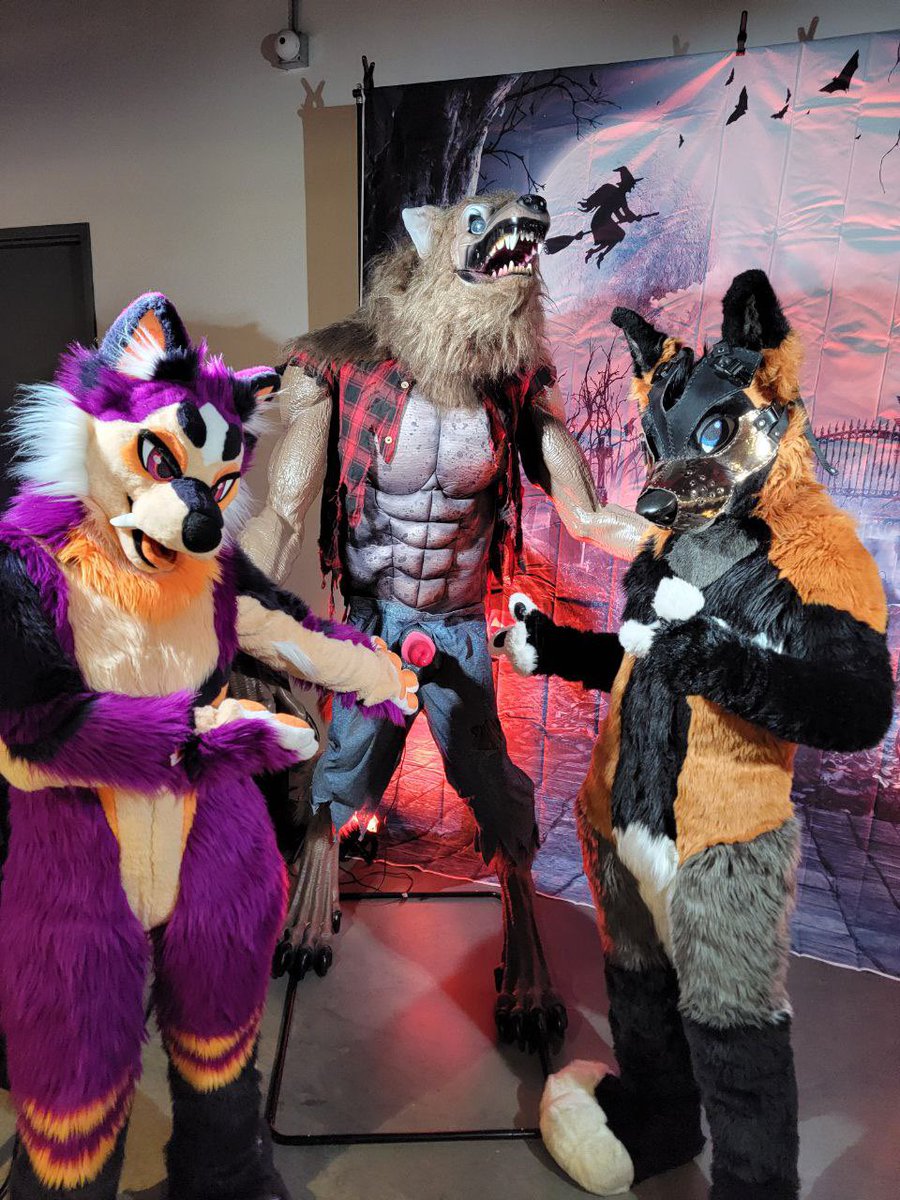 DeckerCrossFox's tweet image. Excuse me sir 🐺