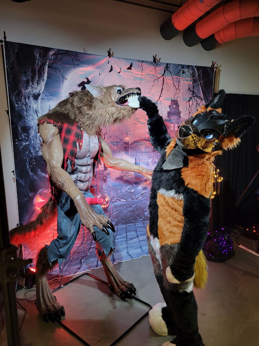 DeckerCrossFox's tweet image. Excuse me sir 🐺