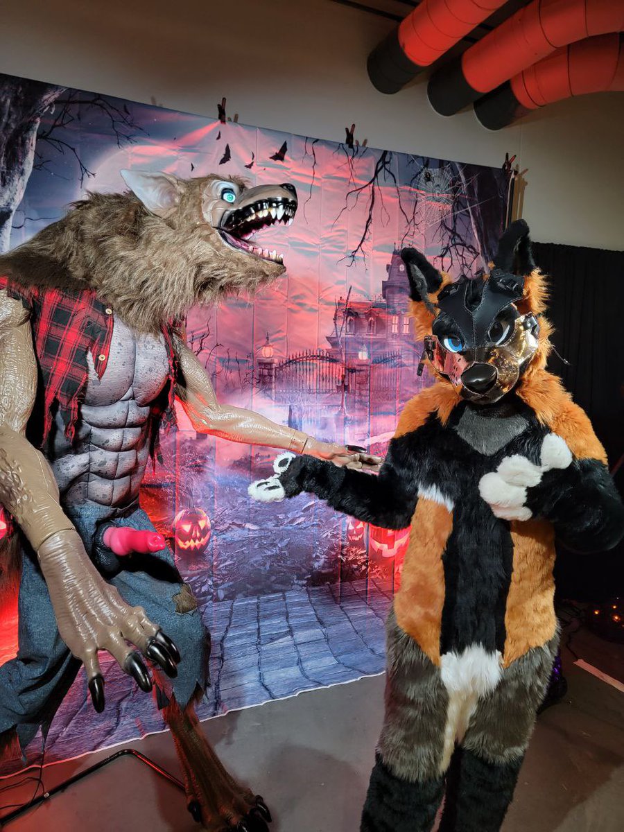 DeckerCrossFox's tweet image. Excuse me sir 🐺