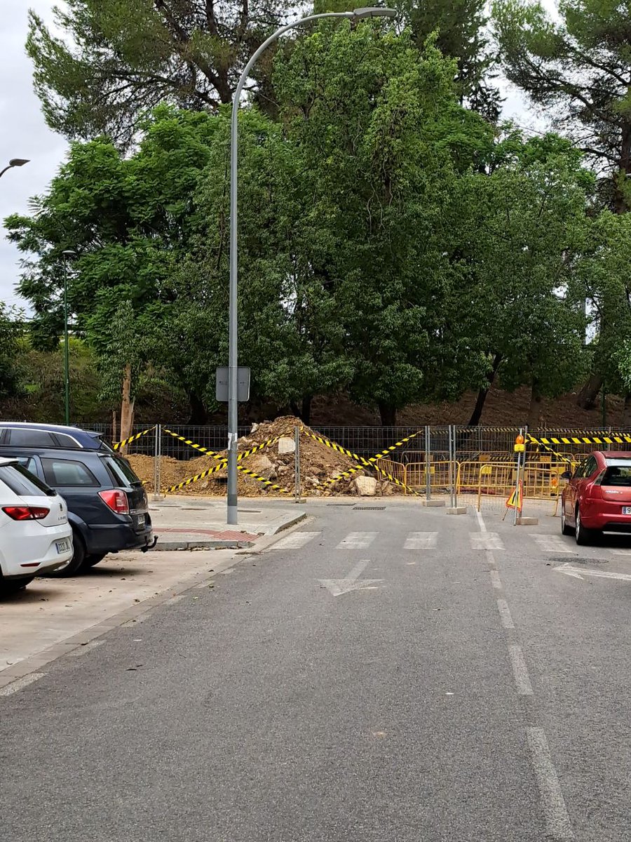 salvatusarboles's tweet photo. Cinco de esos árboles sanos y de buen porte van a ser talados.

Su delito, de nuevo, es ser "incompatibles con obra"

Así reza en las fichas de tala.

Es en Ronda de los Tejares.
Abrimos hilo. https://t.co/ktgiJQzaYb