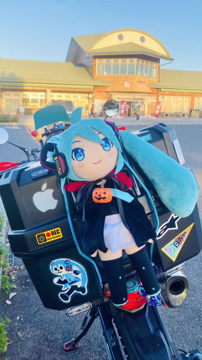 🌅日没ゴール🏁は無理かも🦆🤣✨