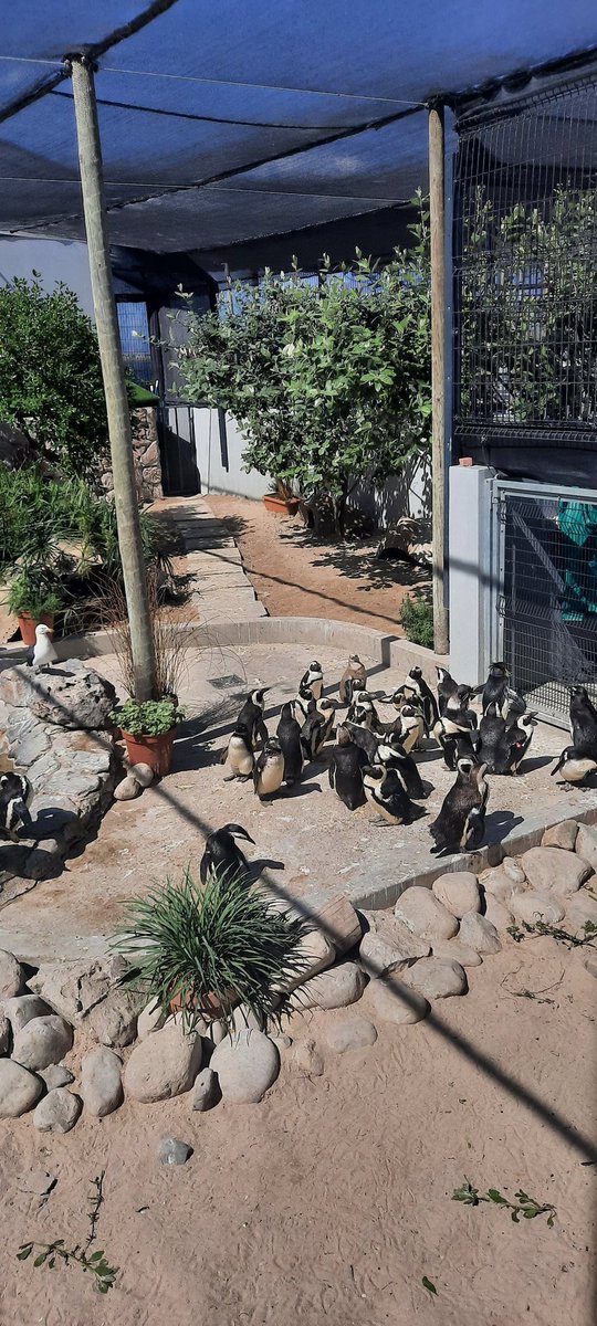 Michelle Valliant tweet media