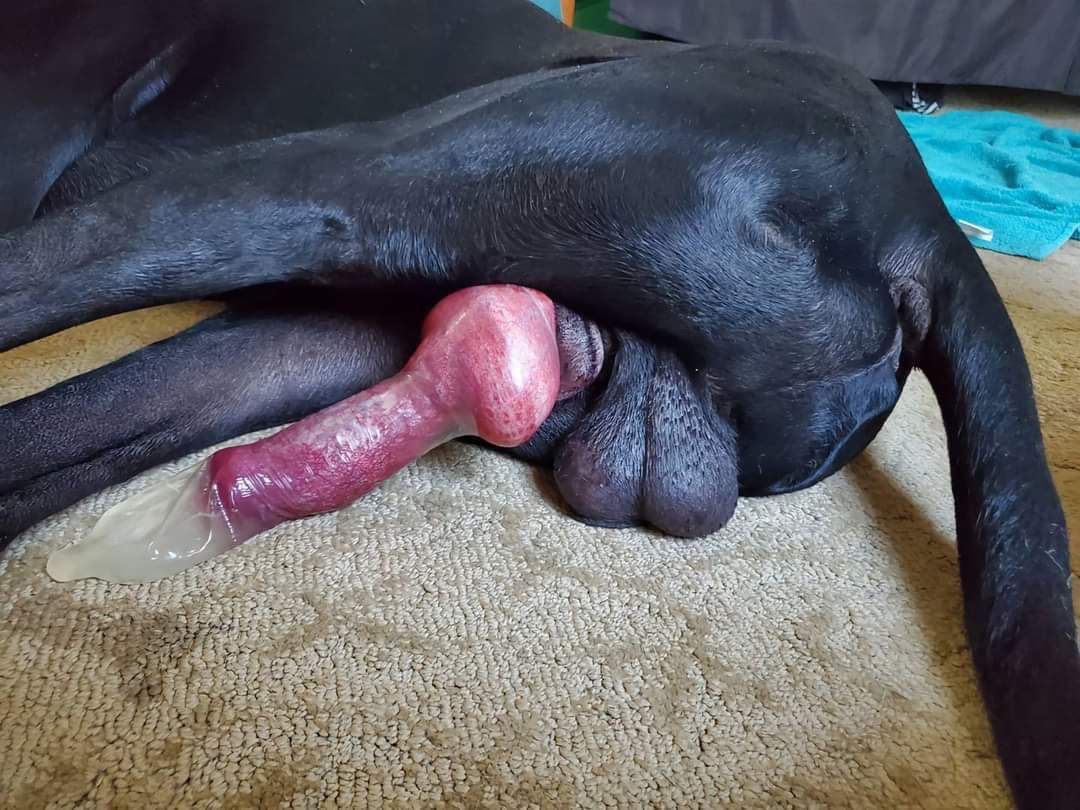 VBscottie4BBC's tweet photo. I love the perverse, twisted, pornographic and depraved—send me what you got or what you want to talk about on Session. My ID is 05597c4650e6202b7fdd814faeebc52e843aae979bbc2a711c57b200ca273c631c https://t.co/X8YIKnC8H7