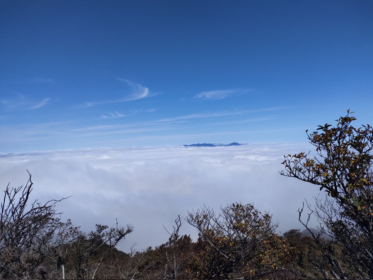 souhiro0313's tweet photo. 今日、祖母山に登山しました。山頂ではきれいな雲海が見れました。 https://t.co/cYKZxQLJbN