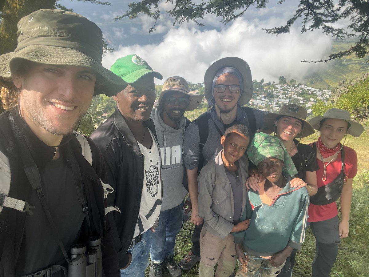 Geladas_for_Cooperation tweet media