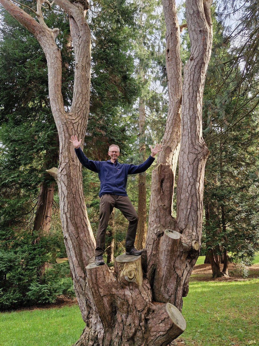 John Dabell tweet media