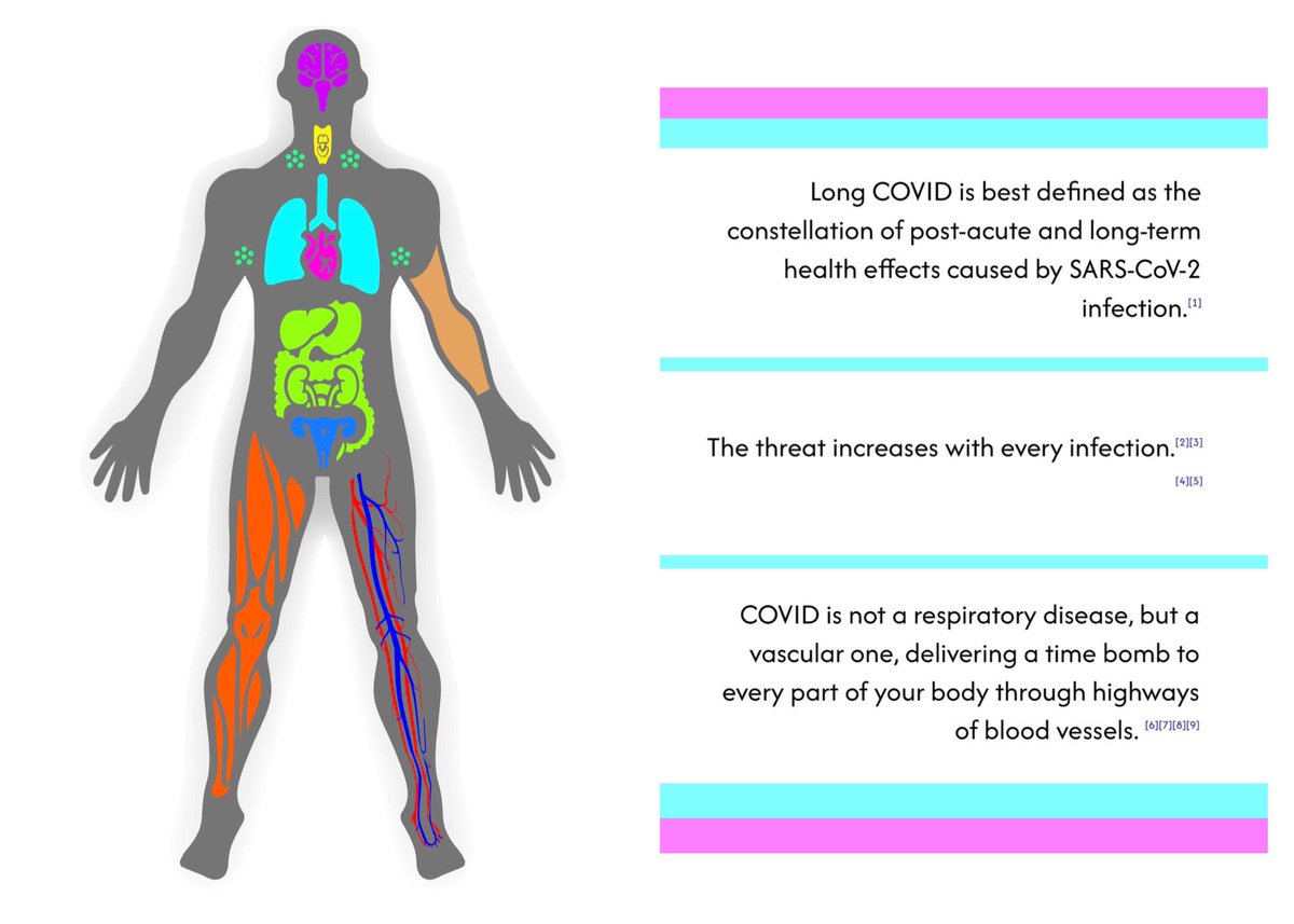 JimFaas's tweet image. #LongCovid 🦠 IS REAL 🦠 IT CAN HAPPEN TO ANYONE

✅ voor wie op zoek is naar een handzaam overzicht over wat er allemaal komt kijken bij longcovid: zo’n overzicht is er nu! 

✅ een fraai opgebouwde website met relevante wetenschappelijke artikelen 

maar ga vooral naar (link)