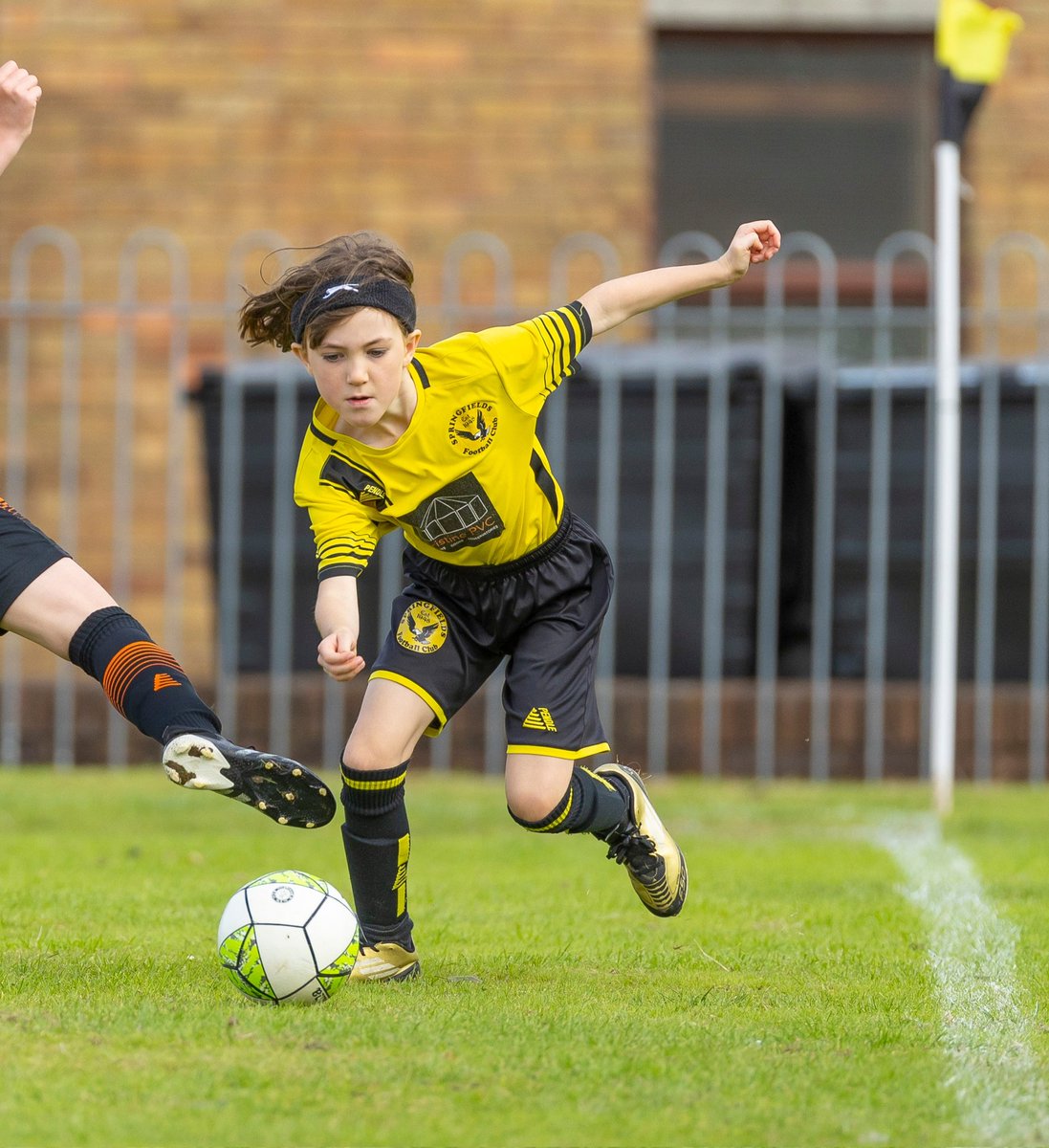 Lisa Taylor tweet media