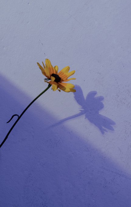 Twitterのコスプレ画像26