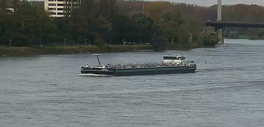 Rheinpegel's tweet image. Hallo #Aquariva #Schiff #Bonn #Rhein