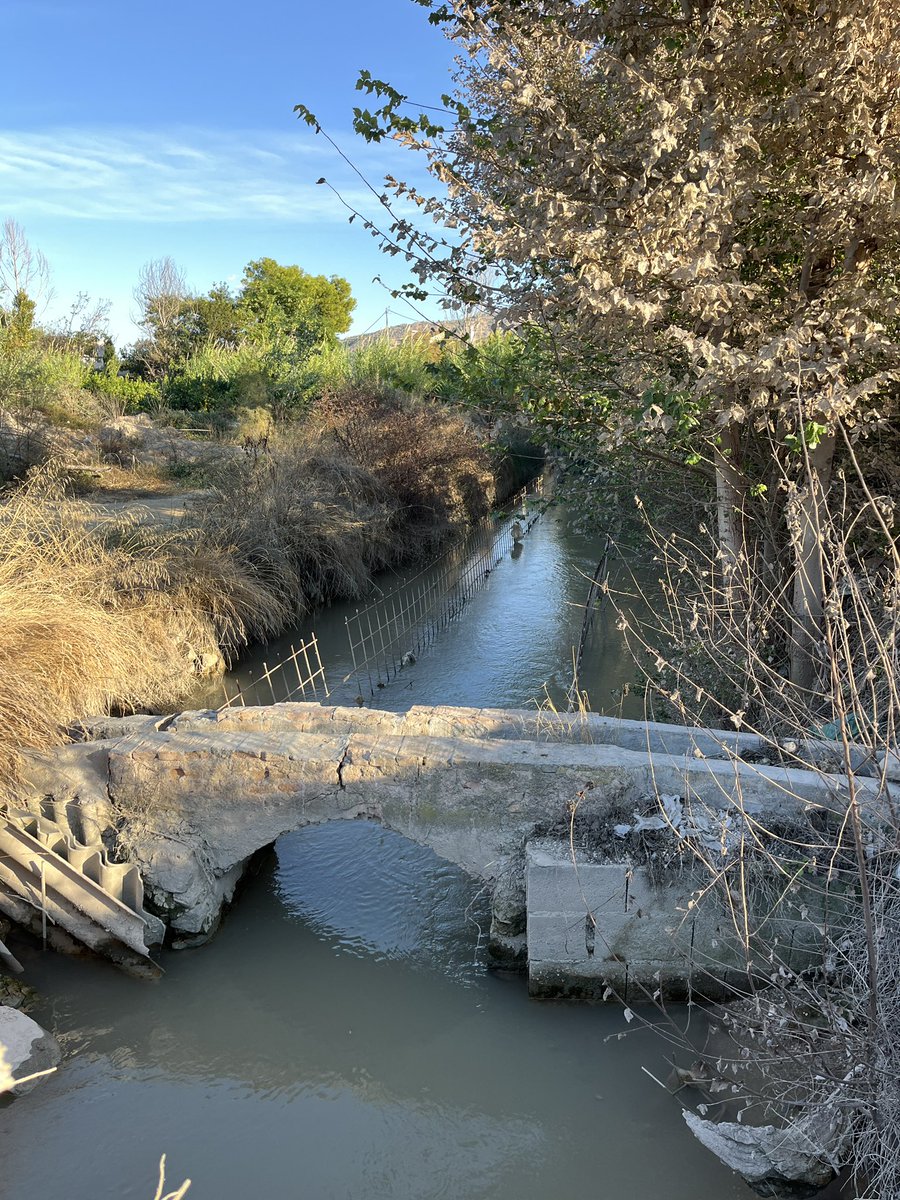 🍋 🆘 Acequia Benetúcer 🆘

🧵1️⃣3️⃣ En los próximos días si nadie lo remedia las máquinas volverán a este paraje para destruir la Acequia Benetúcer y rematar lo que quedó a medio en 2022.

Y esta foto será historia,⬇️