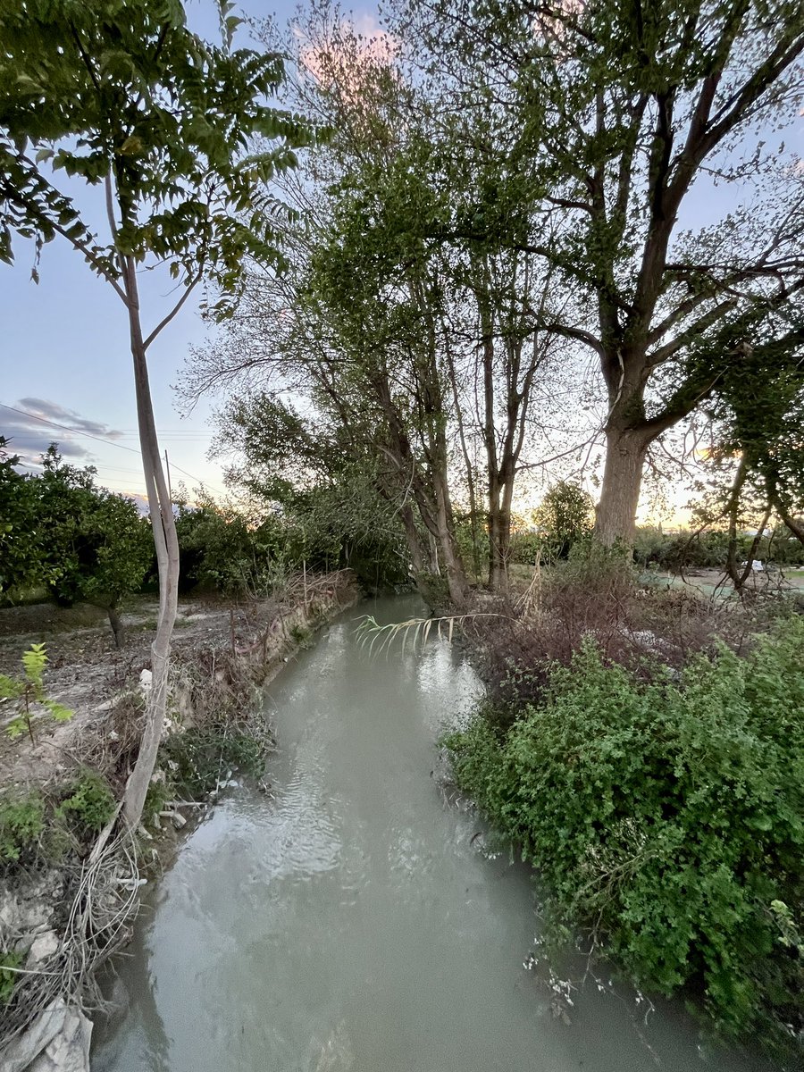 🍋 🆘 Acequia Benetúcer 🆘

🧵1️⃣4️⃣ y esta