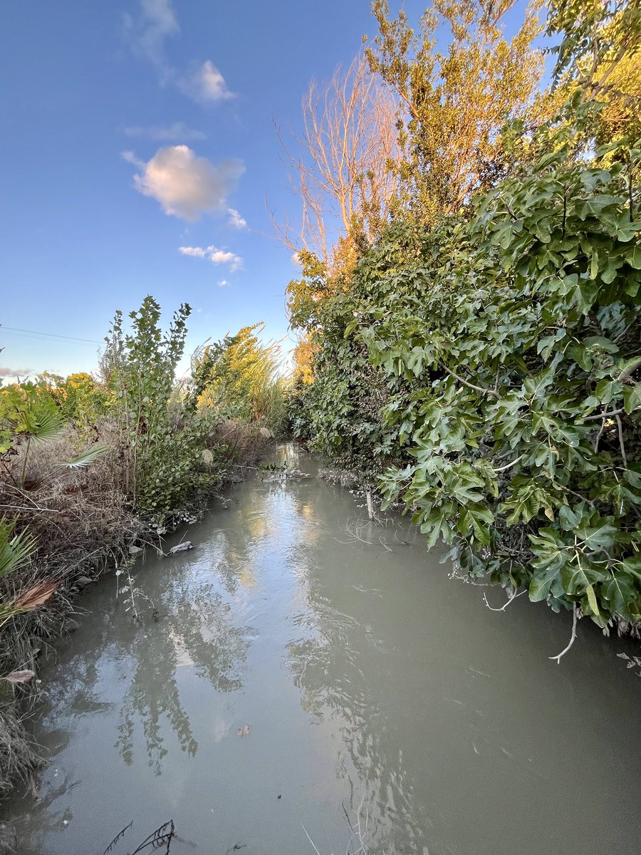 🍋 🆘 Acequia Benetúcer 🆘

🧵1️⃣8️⃣ Estamos a tiempo de evitar un nuevo desastre.

Solicitamos vuestra ayuda para difundir este mensaje y que la gente sepa lo que va a pasar. 

Gracias 🤞