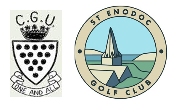 stenodocgolf tweet media