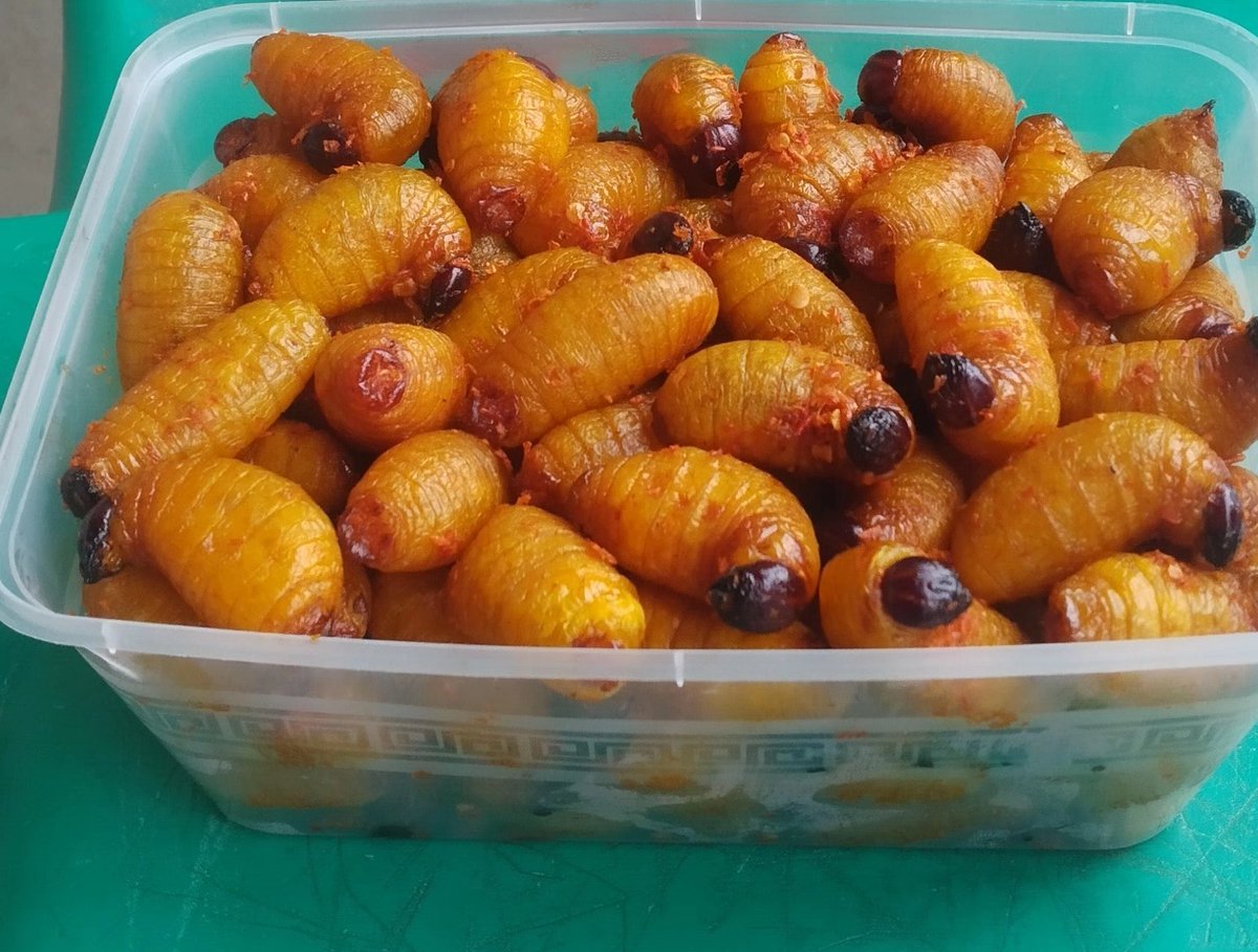 Thompson Smoothie 💚🫂 𝕏 tweet media