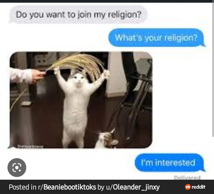 mrhalfspeed's tweet photo. @ask_aubry Do you want to join my religion? https://t.co/jpwzExVUga