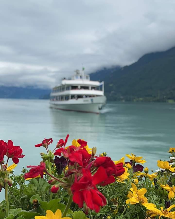 تجري الرياح كما تجري سفينتنا 
نحن الرياح ونحن البحر والسفن 
ان الذي يرتجي شيئا بهمته 
يلقاه لو حاربته  الانس والجن 
فاقصد الي قمم الاشياء تدركها 
تجري الرياح كما رادت لها السفن 
#مساء_الخير  ✊