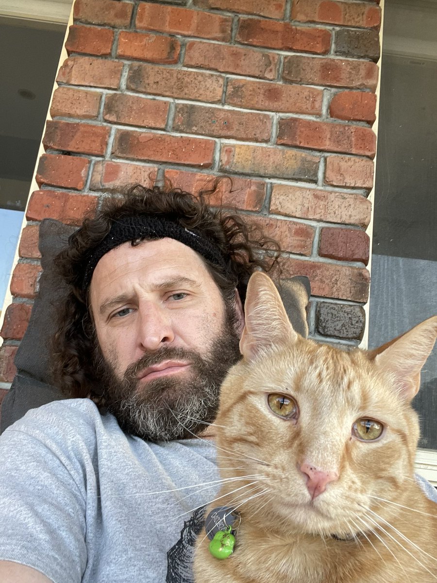 Everybody should get to have e an orange cat.