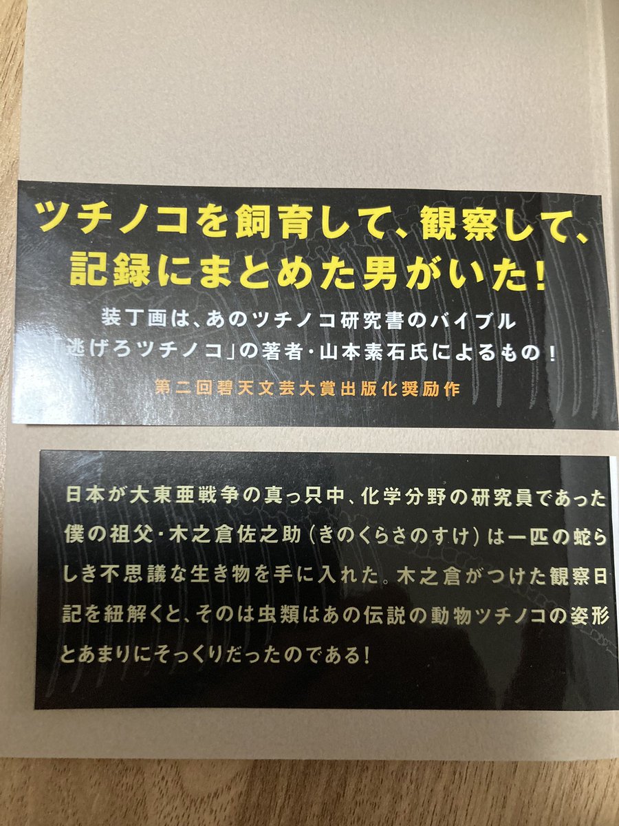 ツチノコ様☆専用（送料込み） 71UuCUaKgcL.jpg_BO30,255,255,