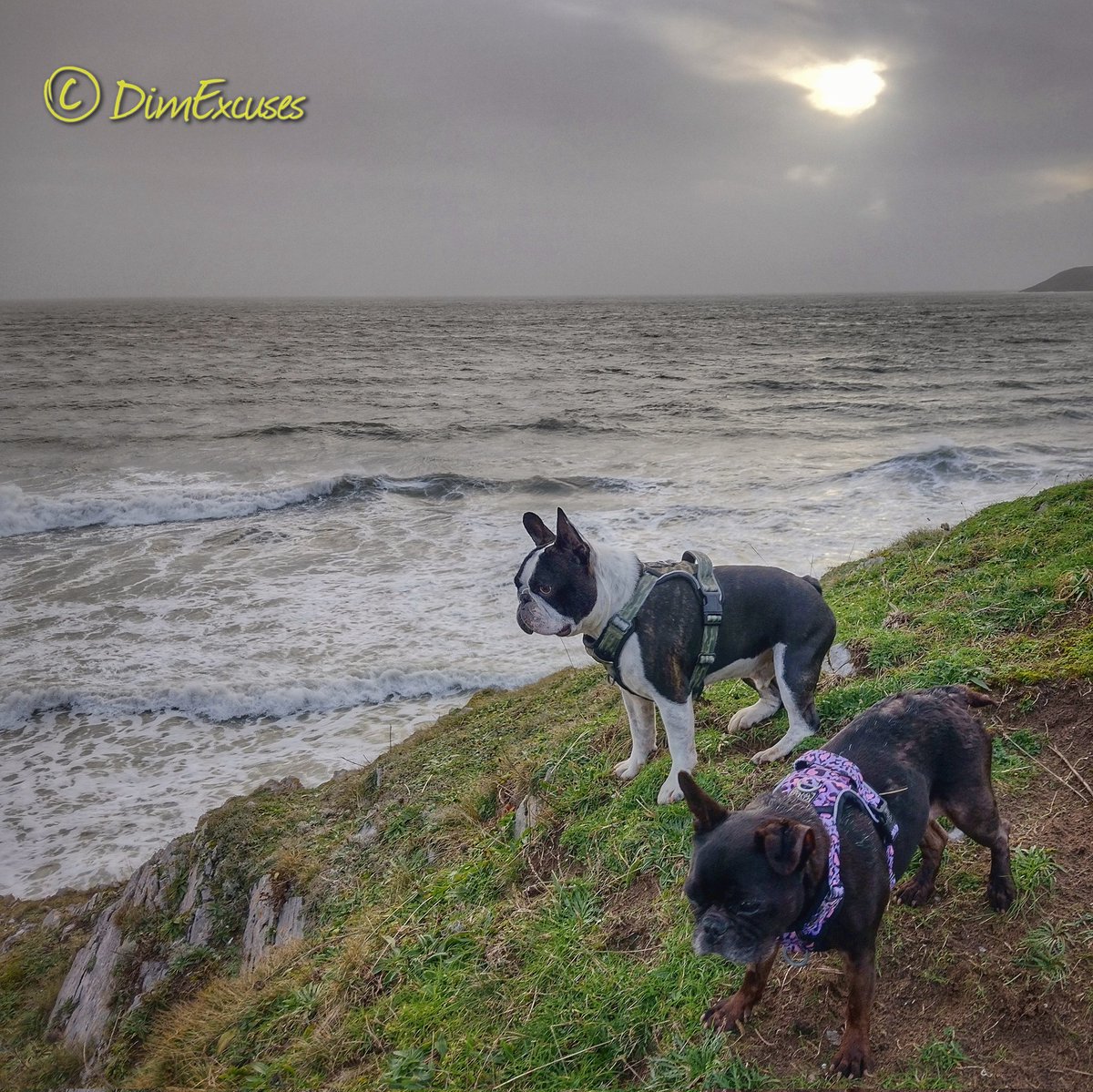 Mark Blackmore tweet media