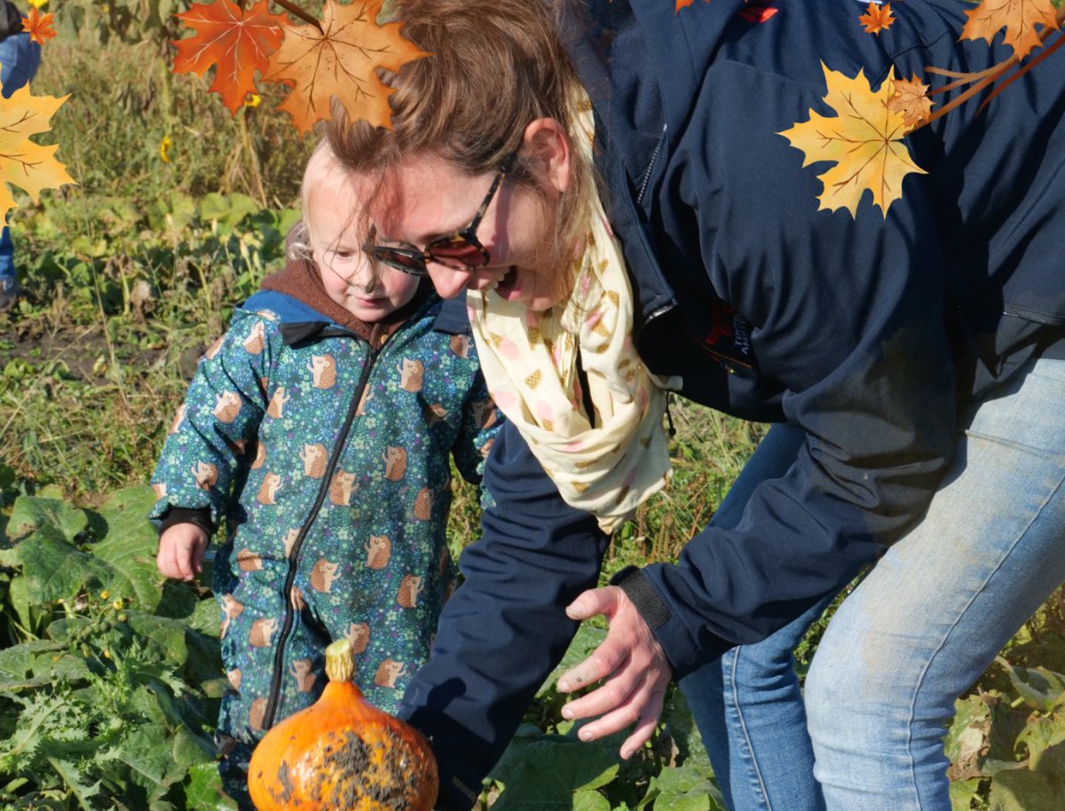 [𝘥𝘦𝘻𝘦 𝘬𝘦𝘦𝘳 𝘮𝘦𝘵 𝘸𝘦𝘳𝘬𝘦𝘯𝘥𝘦 𝘭𝘪𝘯𝘬]🪶📰 Vers van de pers: de 𝗛𝗲𝗿𝗲𝗻𝗯𝗼𝗲𝗿𝗲𝗻 𝗛𝗲𝗿𝗳𝘀𝘁 𝗡𝗶𝗲𝘂𝘄𝘀𝗯𝗿𝗶𝗲𝗳! Vol met herfstig nieuws van onze (inmiddels 22!) Herenboerderijen. 
Je leest 'm hier ➡ herenboeren.nl/nieuws
Fijn weekend! 🍂🍁🎃