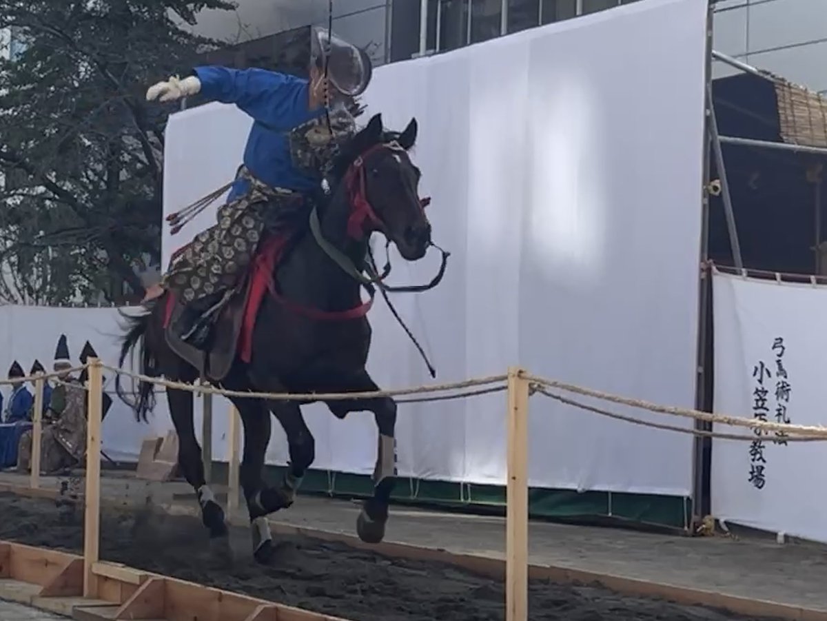 info_theiere's tweet photo. 先日、日本橋で行われた小笠原流の流鏑馬。　#流鏑馬 #小笠原流 #日本橋 #馬 https://t.co/X640rAbbom