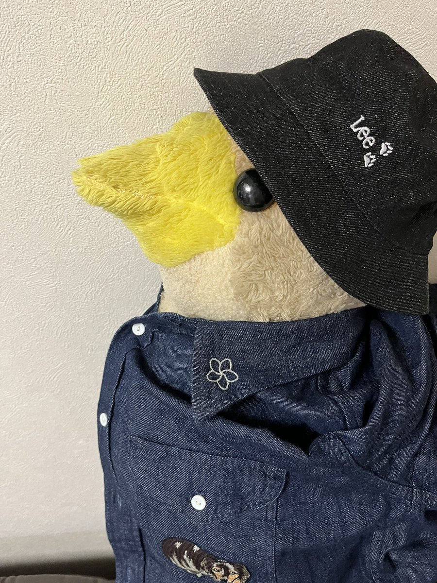 whiteahiru's tweet photo. 小さい時から一緒のぬいぐるみに着せました
かもくん「いけてるのかーも？」とのことです
#石原夏織
#石原夏織_Leeコラボ https://t.co/gaWP94bFin