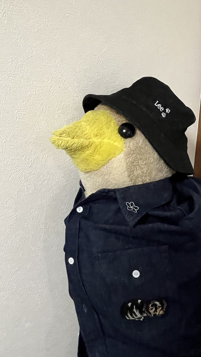 whiteahiru's tweet photo. 小さい時から一緒のぬいぐるみに着せました
かもくん「いけてるのかーも？」とのことです
#石原夏織
#石原夏織_Leeコラボ https://t.co/gaWP94bFin