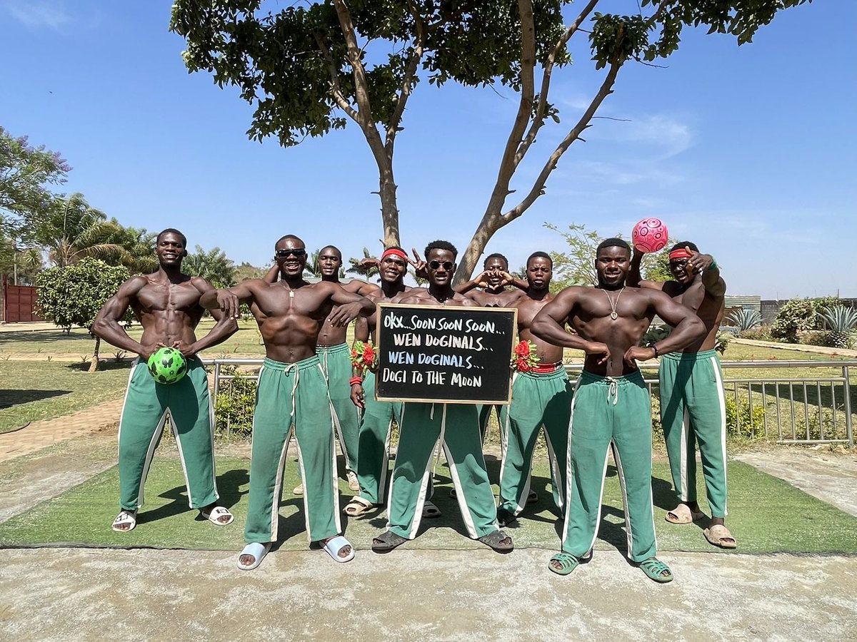 Ðogemonkeys tweet media