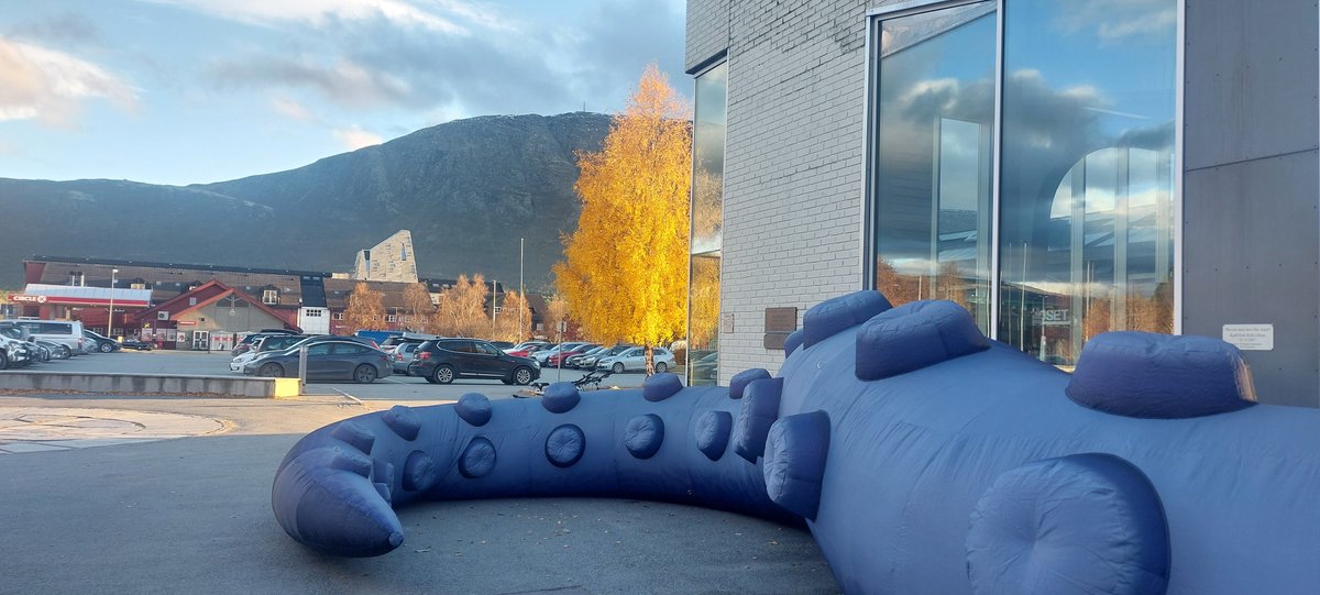 Rebecca Janicker tweet media