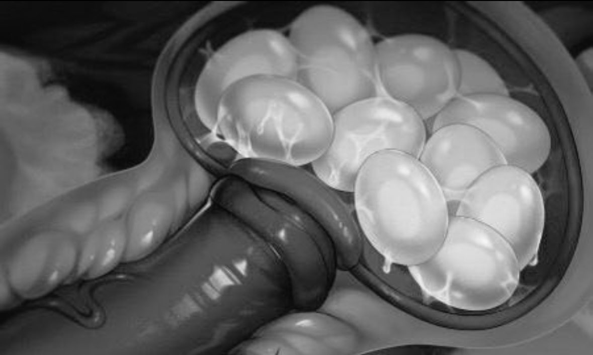 PoisonedBugHors's tweet photo. “I’ve been asked several times if I lay eggs, and the answer is yes, and I make YOUR body their incubator… Now stop clenching, it only makes the process longer..” https://t.co/GbT3Q0ISKR