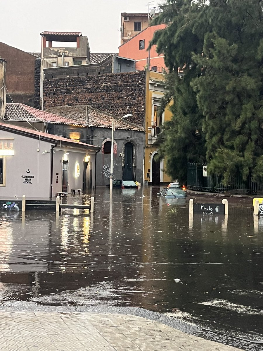 Becca Tanner tweet media