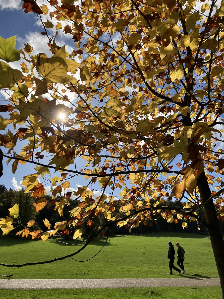 LoveReigate tweet media