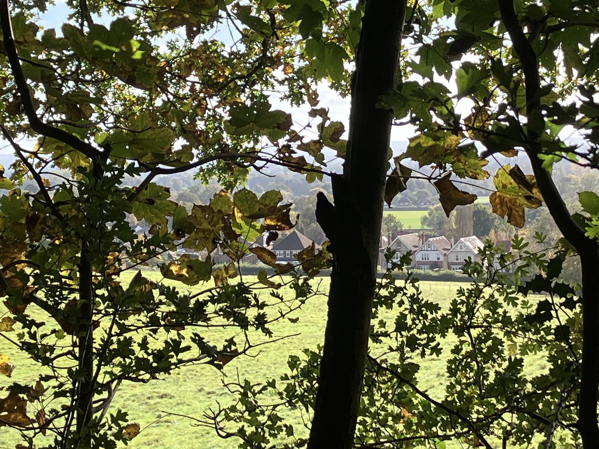 LoveReigate tweet media