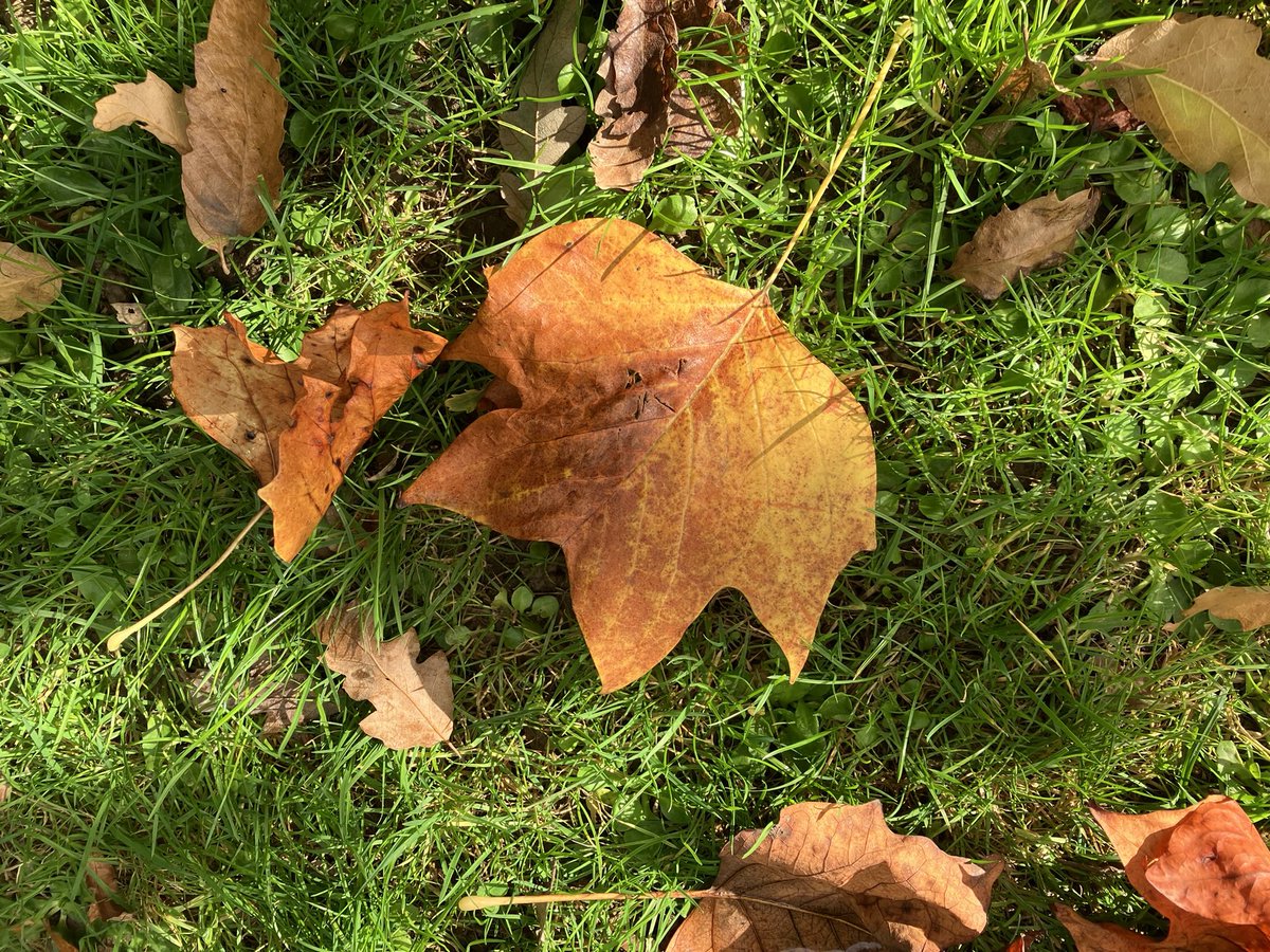 LoveReigate tweet media