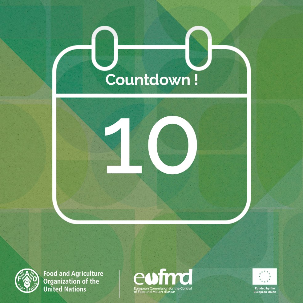 ⌛️ #OS24 ⏳

EuFMD // GFRA

Getting seriously close now! 
Have a look at the talks for Day 3: cost-benefit analysis of #FMD control, improved diagnostics, and control of FMD using novel vaccines. Followed by a final discussion.

Info here

👉 trello.com/b/Dh06to0o/os2…