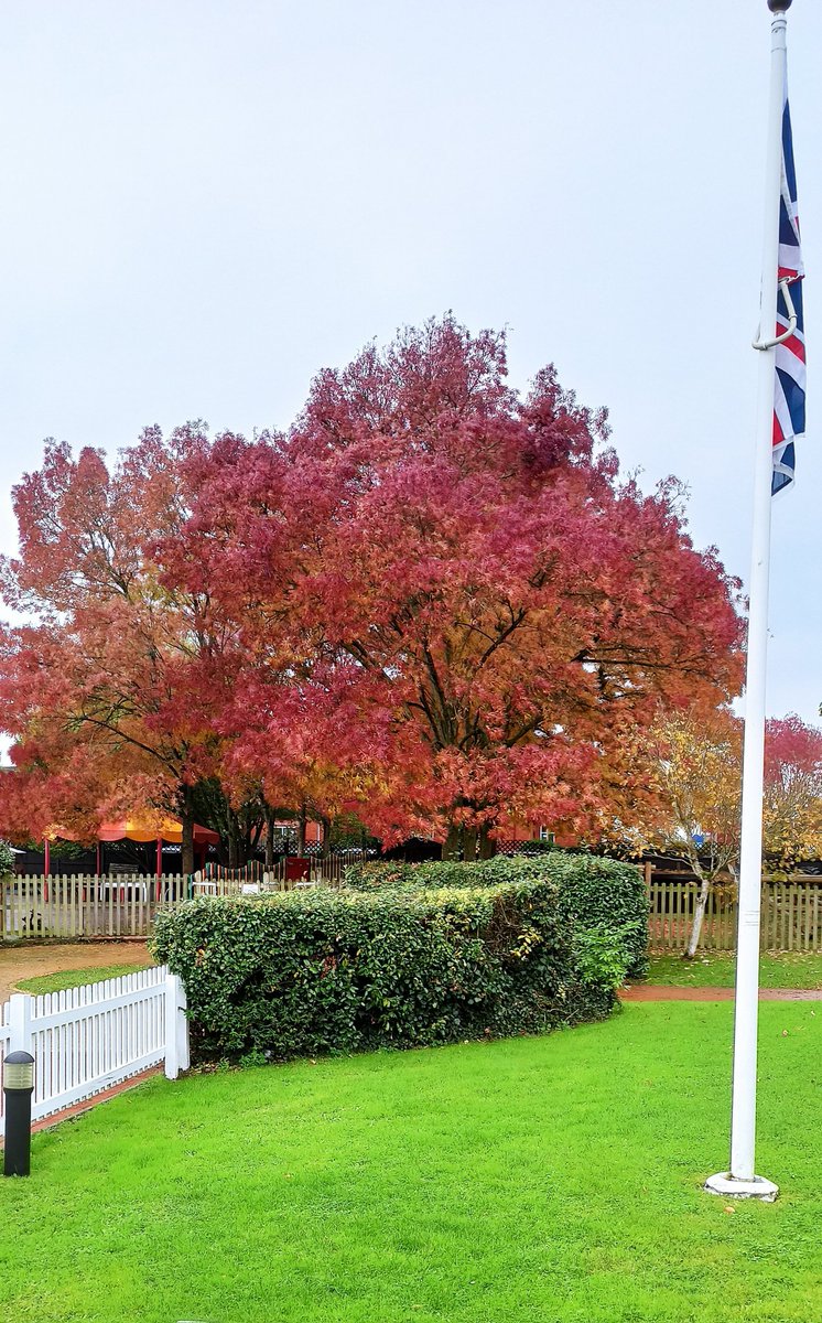TewkPri's tweet photo. Autumn season on our doorstep 🍁🍂😁

#TewkPri #tewkesburycofeprimary #tewkesbury #Gloucestershire #Autumn #autumnvibes #autumncolors #autmnleaves #autumnstyle #autmnmood #tewkpriinsta #tewkesburyprimaryschool https://t.co/DlwxxsMqu7