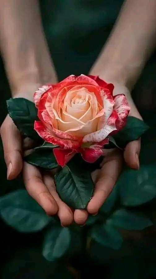 Buongiorno e buona domenica 😘😘😘