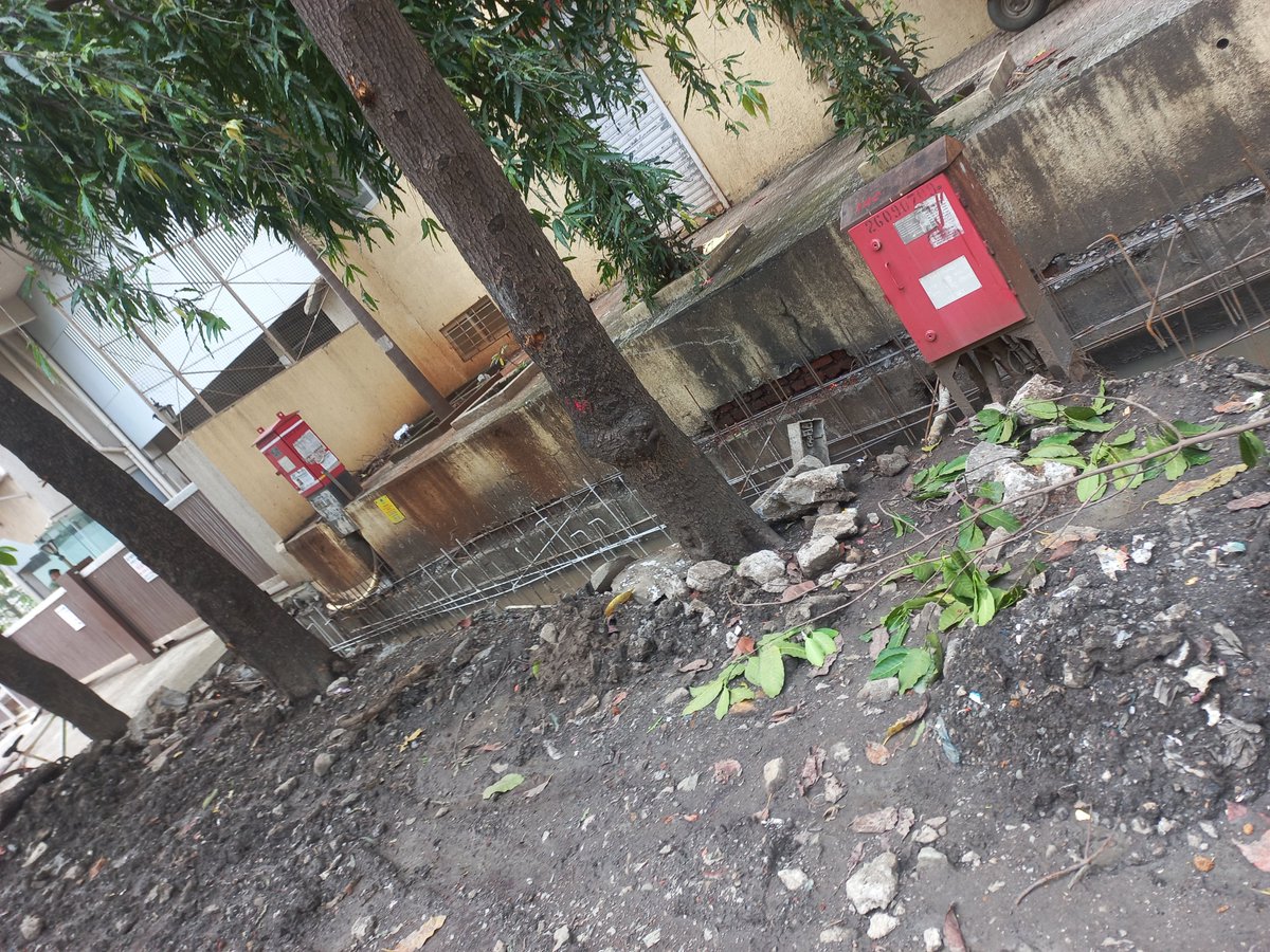 AjayKudav's tweet photo. @mybmcWardRC , Work being carried out by BMC near Madhuvan Rambaug lane has weaken the tree base &amp; this resulted in a huge tree fall last night. Zero hurt though it was fatal enuf. Cars heavily damaged. another such incident possible if not immediately fixed. @mybmcWardRC @mybmc https://t.co/i7aIOs8Tym