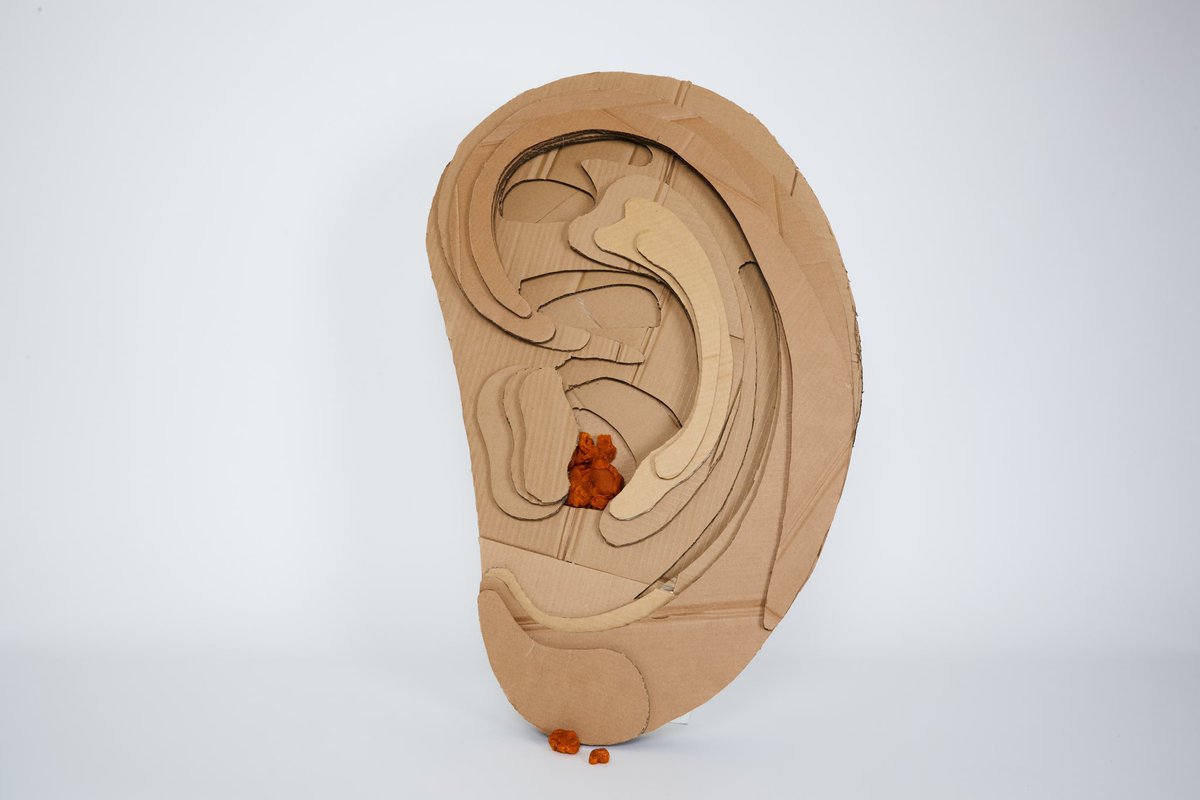 puppyxpuppyxx's tweet photo. finally got some studio photos of the ear ✨ https://t.co/VGg9sRD3Dt