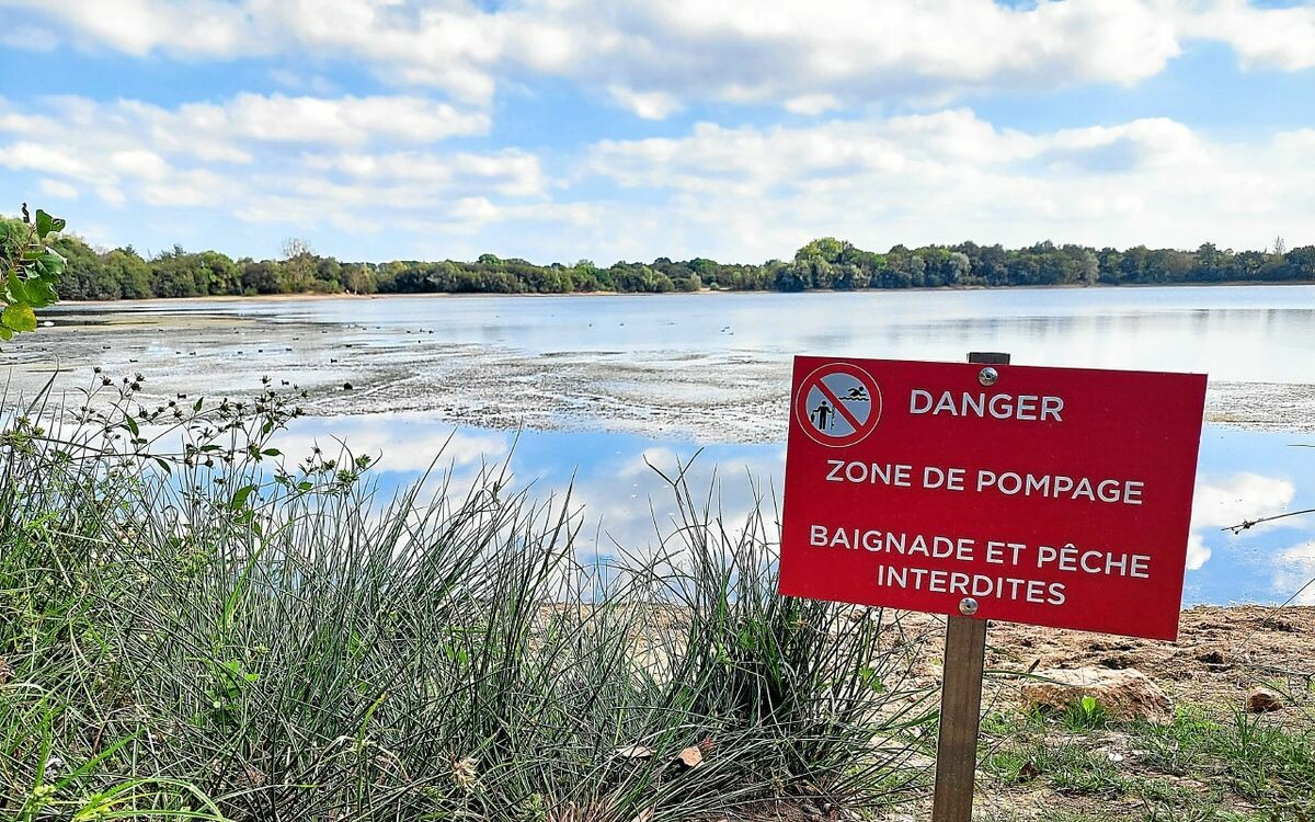 Des polluants éternels retrouvés dans l’eau des Rennais : l’héritage toxique [Vidéo]
➡️ go.letelegramme.fr/J20j
