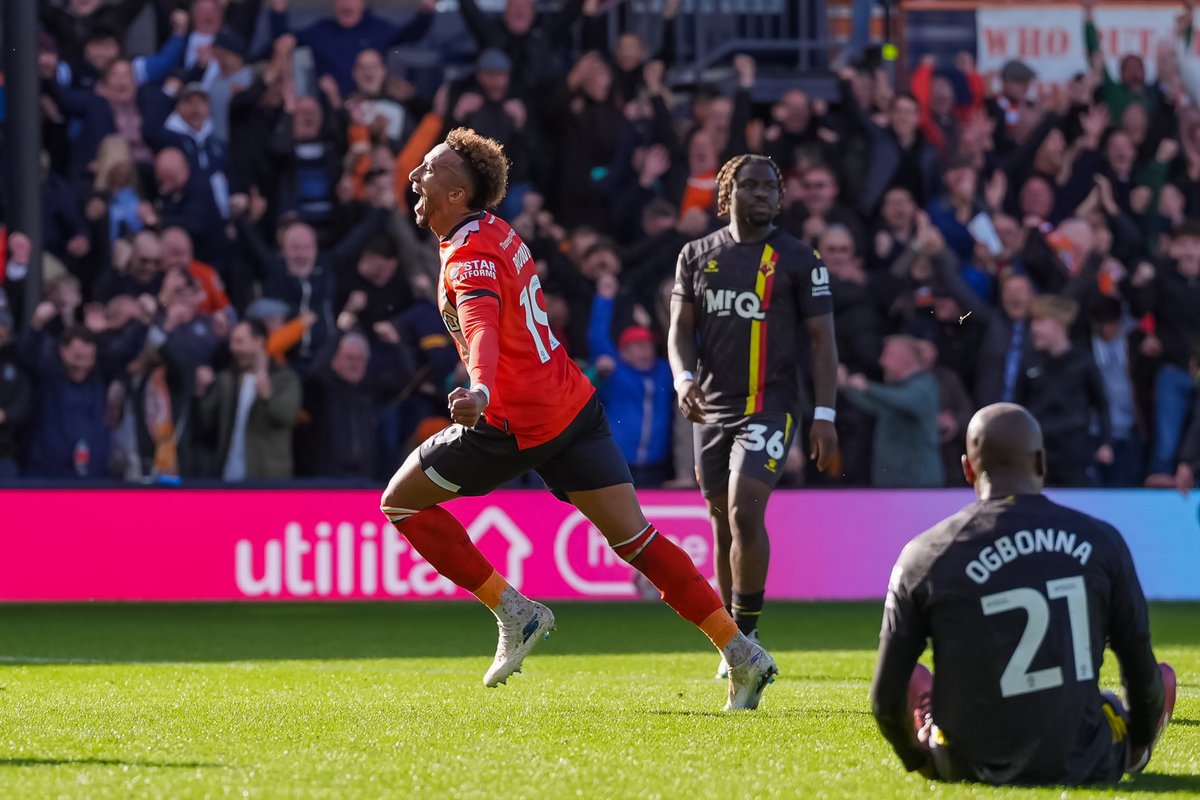 LutonNews_LTFC's tweet photo. Not a bad yesterday, not a bad day at all. https://t.co/cDsiTnZ8bY