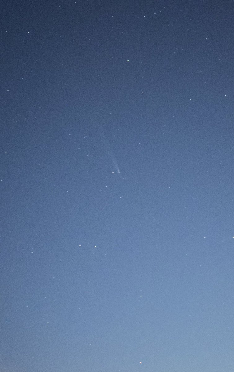 DontJustFlyS0AR's tweet photo. アトラス彗星肉眼じゃ無理だったけどiPhoneのナイトモード10秒で写った☄️ https://t.co/xlwmMR27kI